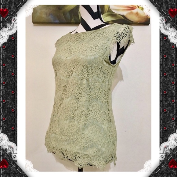 The Limited Lace Overlay Blouse - Picture 3 of 7